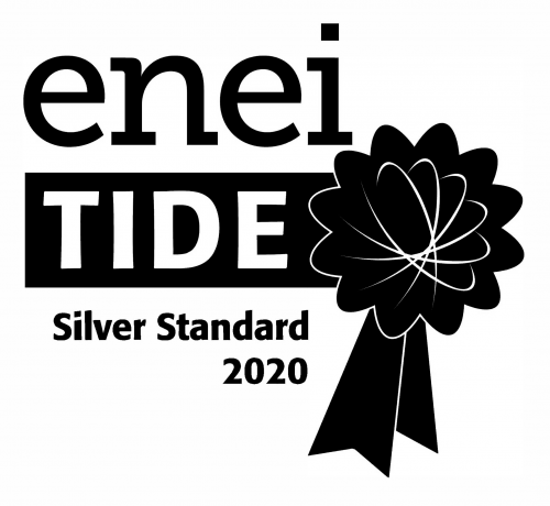 ENEI TIDE Silver Award 2020